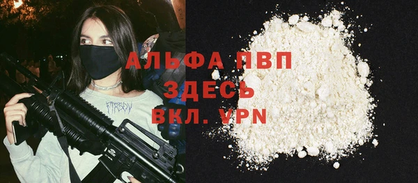 мдпв Вяземский