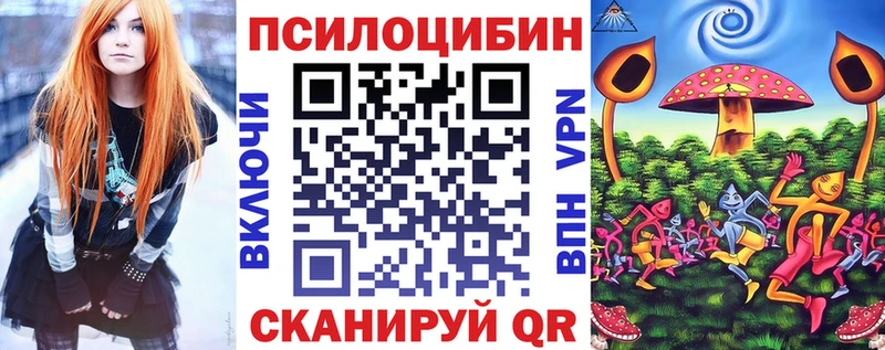 Купить закладки  Тогучин  Псилоцибиновые грибы мицелий 